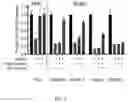 Fig. 08 - SHMT inhibitors