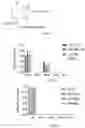 Fig. 09 - SHMT inhibitors