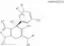 Fig. 110 - SHMT inhibitors