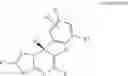 Fig. 117 - SHMT inhibitors