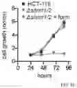 Fig. 12 - SHMT inhibitors