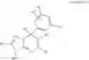 Fig. 120 - SHMT inhibitors