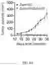 Fig. 13 - SHMT inhibitors
