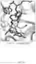 Fig. 16 - SHMT inhibitors