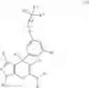 Fig. 161 - SHMT inhibitors