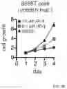 Fig. 18 - SHMT inhibitors
