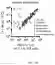 Fig. 22 - SHMT inhibitors
