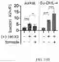 Fig. 27 - SHMT inhibitors