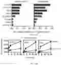 Fig. 28 - SHMT inhibitors