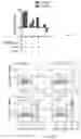 Fig. 29 - SHMT inhibitors