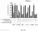 Fig. 31 - SHMT inhibitors