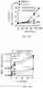 Fig. 34 - SHMT inhibitors