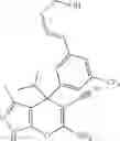 Fig. 37 - SHMT inhibitors