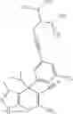 Fig. 50 - SHMT inhibitors