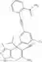 Fig. 59 - SHMT inhibitors