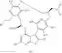 Fig. 237 - MACROCYCLIC MCL-1 INHIBITORS AND METHODS OF USE