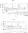 Fig. 06 - Solid forms of substituted benzoxaborole and compositions thereof