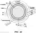 Fig. 23 - Engineered microbe-targeting molecules and uses thereof