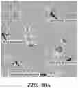 Fig. 32 - Engineered microbe-targeting molecules and uses thereof