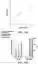 Fig. 40 - Engineered microbe-targeting molecules and uses thereof
