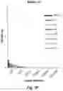 Fig. 28 - Antibodies that specifically bind to human complement factor C2b