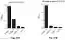 Fig. 41 - Antibodies that specifically bind to human complement factor C2b
