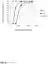 Fig. 04 - Anti-complement factor C1Q antibodies and uses thereof