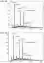 Fig. 07 - Anti-complement factor C1Q antibodies and uses thereof