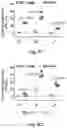Fig. 16 - T cell-antigen coupler with various construct optimizations