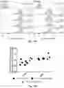 Fig. 28 - T cell-antigen coupler with various construct optimizations