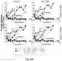 Fig. 43 - T cell-antigen coupler with various construct optimizations