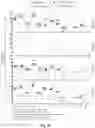 Fig. 47 - T cell-antigen coupler with various construct optimizations