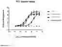 Fig. 08 - Single domain antibodies to programmed cell death protein 1 (PD-1)