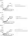 Fig. 08 - ANTIBODIES AGAINST PD-L1