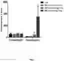 Fig. 08 - Methods for treating type 1 diabetes using glucagon receptor antagonistic antibodies