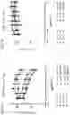 Fig. 04 - MODULATING THE IMMUNE RESPONSE USING ANTIBODY-DRUG CONJUGATES
