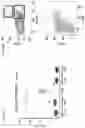 Fig. 09 - MODULATING THE IMMUNE RESPONSE USING ANTIBODY-DRUG CONJUGATES