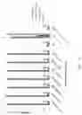 Fig. 31 - Fn14 Binding Proteins and Uses Thereof