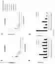 Fig. 35 - Fn14 Binding Proteins and Uses Thereof