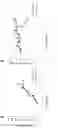 Fig. 58 - Fn14 Binding Proteins and Uses Thereof