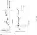 Fig. 60 - Fn14 Binding Proteins and Uses Thereof