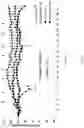 Fig. 62 - Fn14 Binding Proteins and Uses Thereof