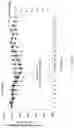 Fig. 65 - Fn14 Binding Proteins and Uses Thereof