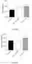 Fig. 67 - Fn14 Binding Proteins and Uses Thereof
