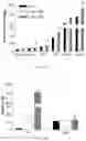 Fig. 78 - Fn14 Binding Proteins and Uses Thereof
