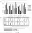 Fig. 06 - Saccharide-based biomarkers and therapeutics