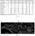 Fig. 09 - Saccharide-based biomarkers and therapeutics