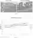 Fig. 14 - Saccharide-based biomarkers and therapeutics