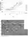 Fig. 16 - Saccharide-based biomarkers and therapeutics