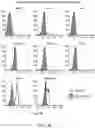 Fig. 22 - Means and methods for counteracting myeloproliferative or lymphoproliferative disorders